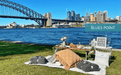 Luxury Private Picnic Experience - Blues Point - We Wander