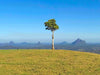 Maleny And Montville Tour With Artisan Village And Wine Tasting - Luxury Private Tour - We Wander