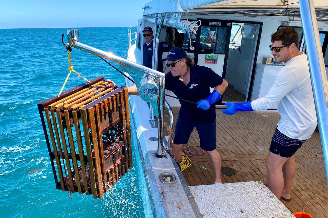 Mandurah Wild Seafood Experience - We Wander