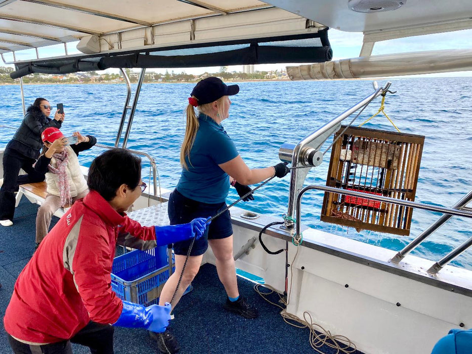 Mandurah Wild Seafood Experience - We Wander