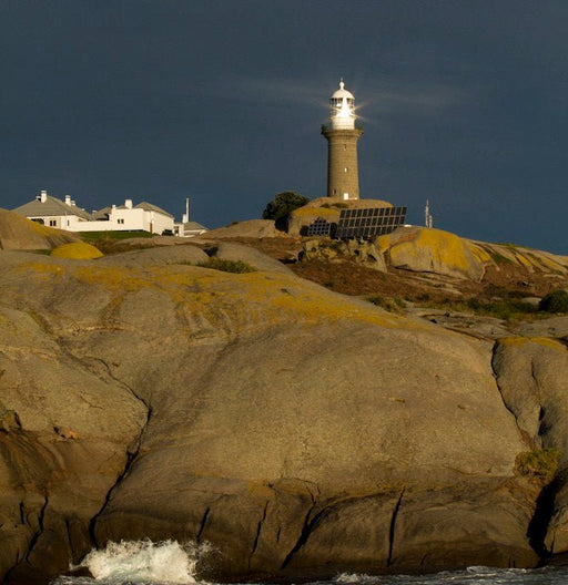 Montague Island Tour Morning - We Wander