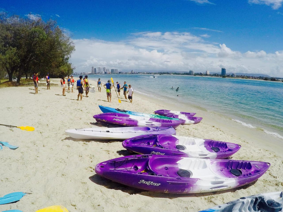 Morning Dolphin Kayaking & Snorkeling Tour - We Wander