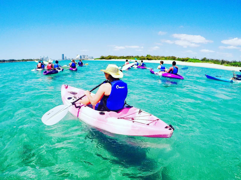 Morning Dolphin Kayaking & Snorkeling Tour - We Wander