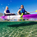 Morning Dolphin Kayaking & Snorkeling Tour - We Wander