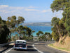 Mornington Peninsula Coastal Delights Tour - We Wander