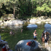 Mossman Gorge (Ex Port Douglas) Shuttle - We Wander