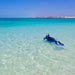 Ningaloo In A Day - We Wander