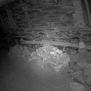 North Kapunda Hotel Paranormal Lockin - We Wander