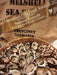 Oyster Farm Shuck And Chat - We Wander