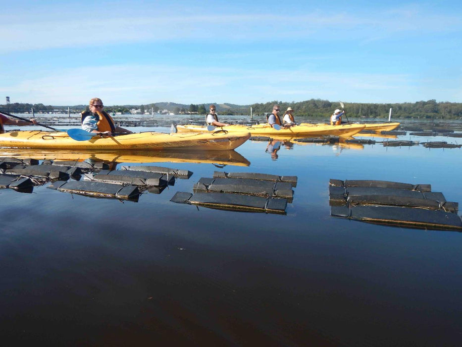 Oyster Tasting Kayak Tour - Batemans Bay - We Wander