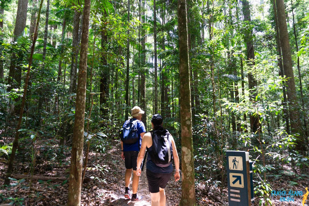 Pack - Free Camping: Lake Mckenzie Eco Walk - 2 Days - We Wander