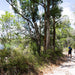 Pack - Free Camping: Lake Mckenzie Eco Walk - 2 Days - We Wander