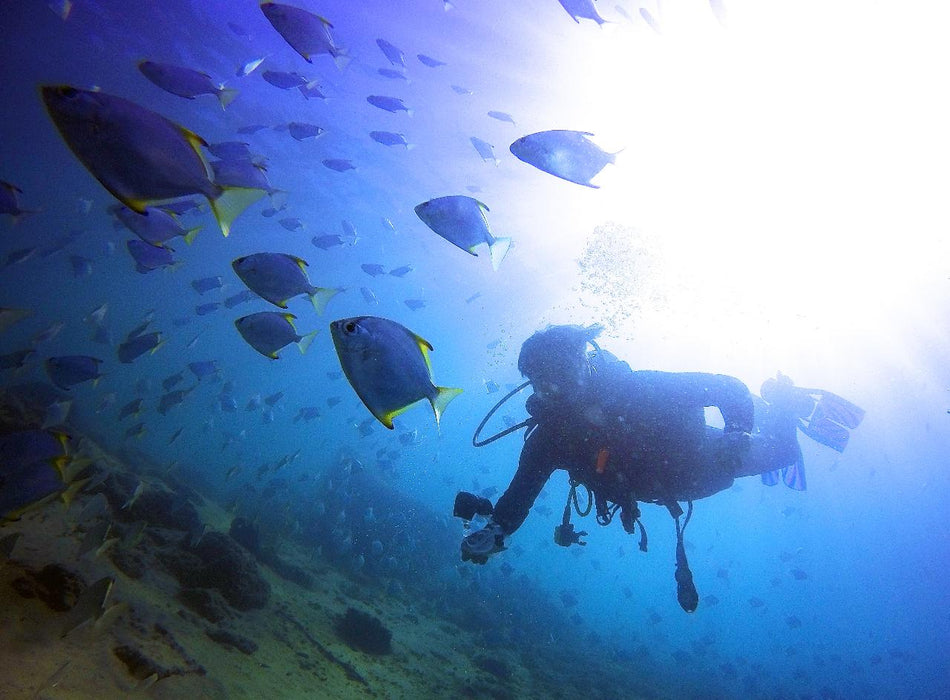 Padi Advanced Open Water Course - We Wander