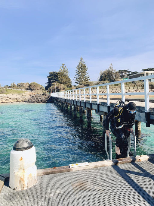 Padi Open Water Dive Course - We Wander