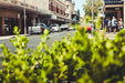Perth (Fremantle) Smartphone Photography Course - We Wander