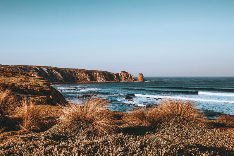 Phillip Island & Penguin Parade Day Tour - We Wander