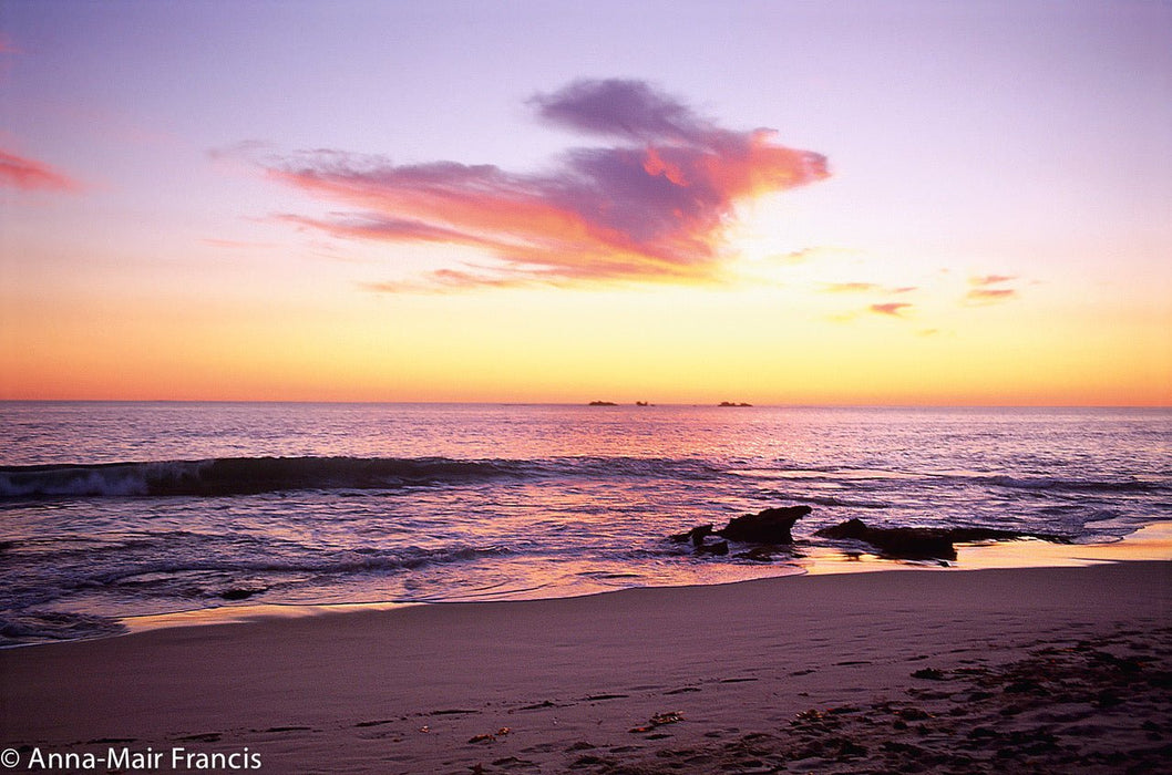 Photographing Australian Animals, Seascapes And Sunsets - We Wander