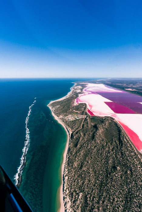 Pink Lake And Abrolhos Islands - Half Day Tour - We Wander