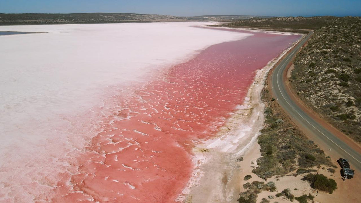 Pink Lake Scenic Flyover Tour - We Wander