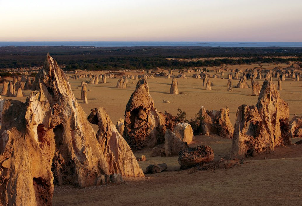 Pinnacles, Swan Valley Wildlife Park & Lancelin - We Wander