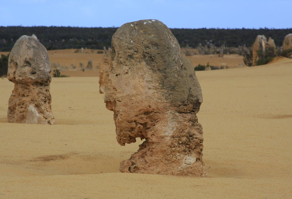 Pinnacles, Yanchep National Park & Lancelin - We Wander