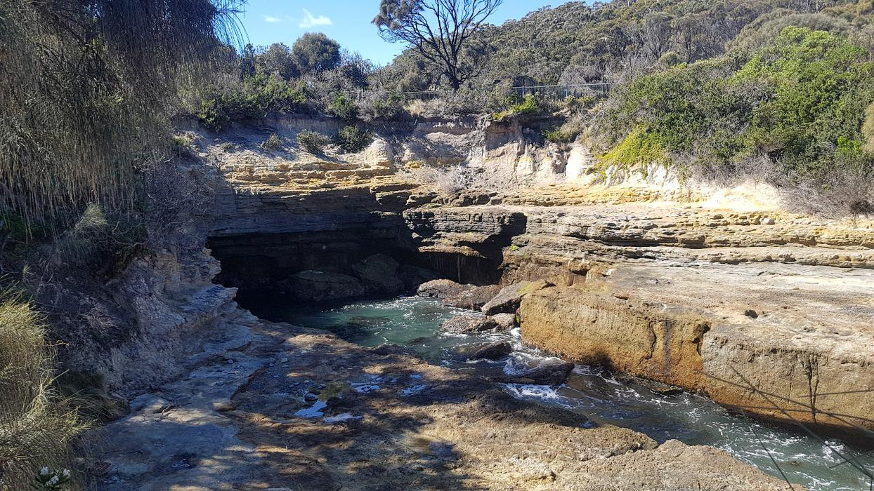 Port Arthur & Tasman Peninsula Day Tour - We Wander