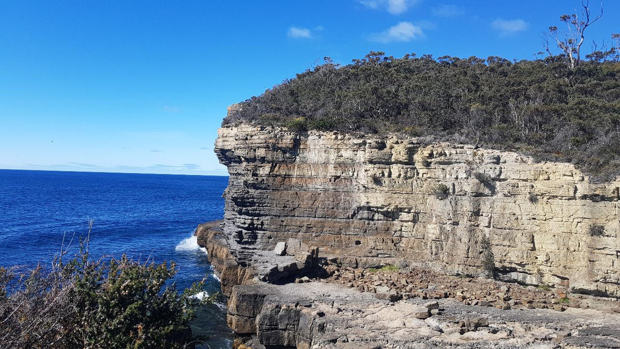 Port Arthur & Tasman Peninsula Day Tour - We Wander