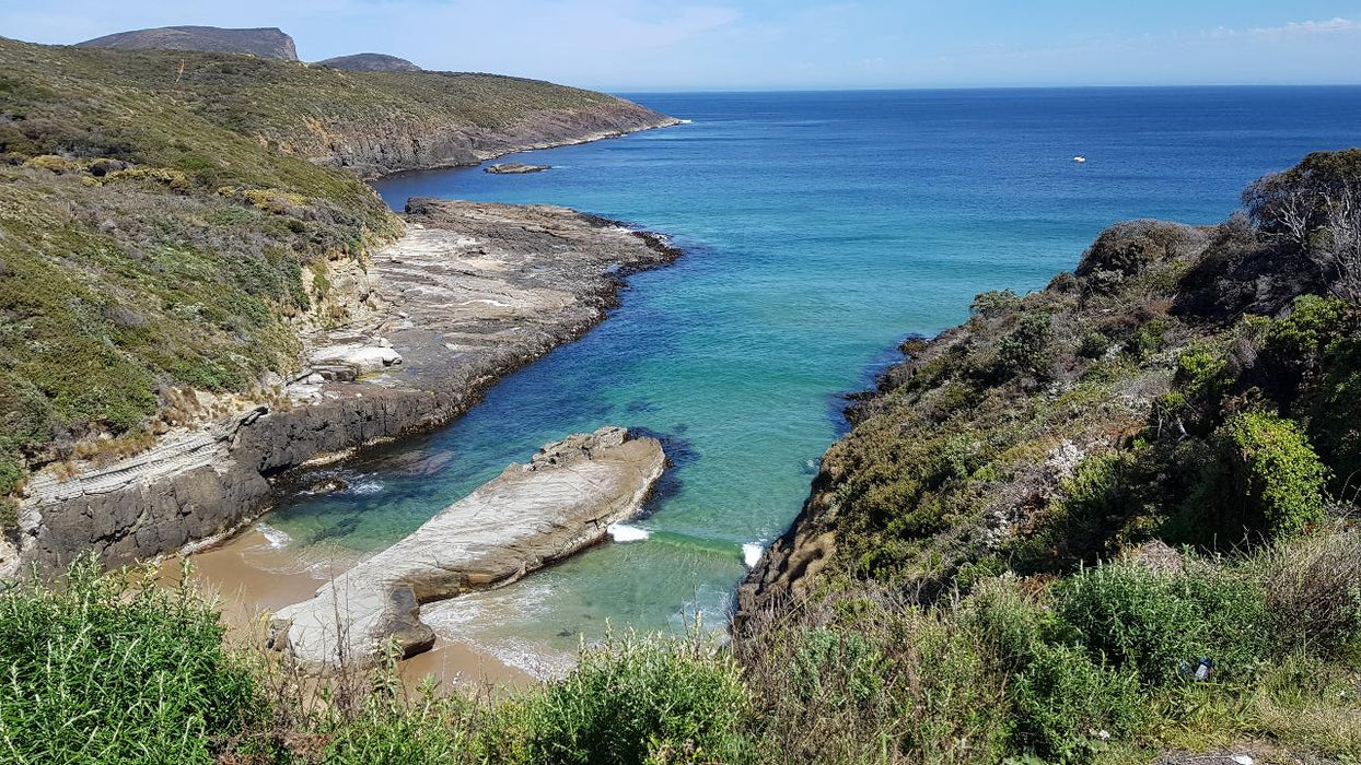 Port Arthur & Tasman Peninsula Day Tour - We Wander