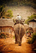 Premium Travel Photography Workshop - We Wander