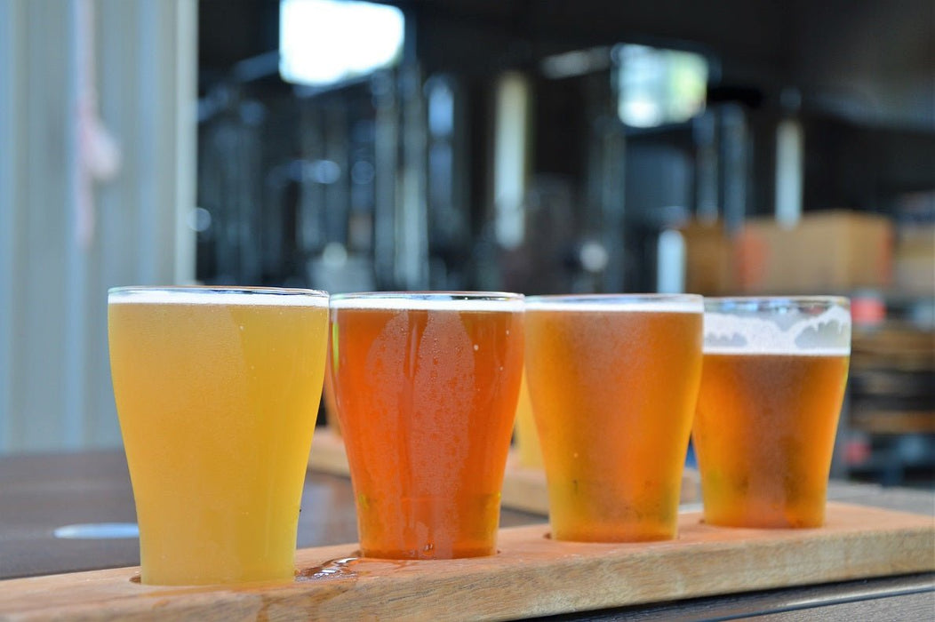 Private Cairns Brewery & Distillery Tour - We Wander