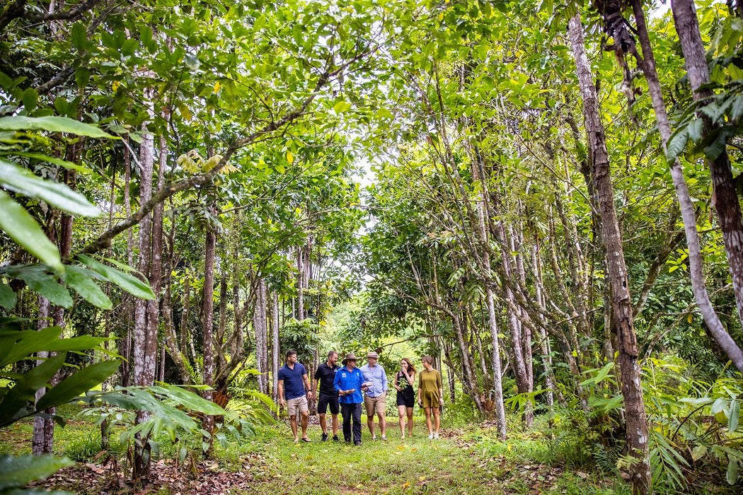 Private Cairns Tablelands Tasting Tour - We Wander