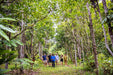 Private Cairns Tablelands Tasting Tour - We Wander