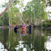 Rainforest Platypus Dive - We Wander