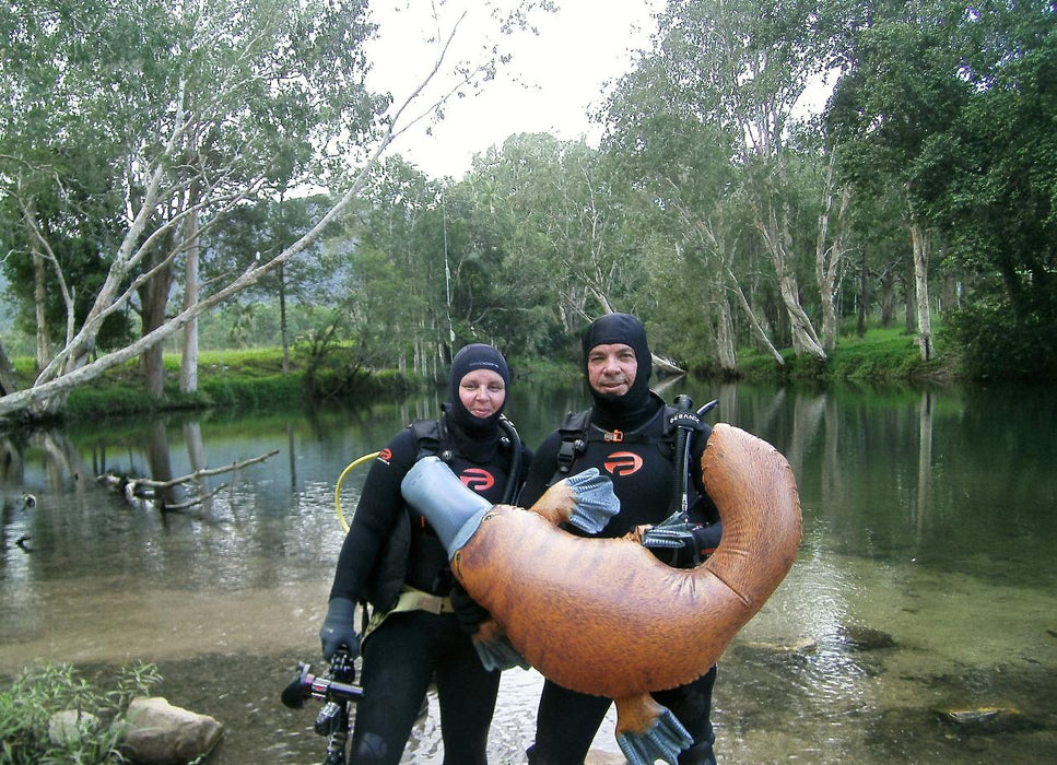 Rainforest Platypus Dive - We Wander