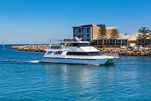 Rottnest Island (Wadjemup) Dive Or Snorkel - We Wander