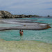 Rottnest Photographic Day Tour Without Ferry - We Wander