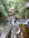 Empress Canyon Abseiling And Canyoning Adventure - Blue Mountains