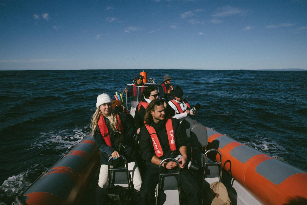 Safari - Style Whale Watching Gold Coast - We Wander