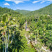 Segway Rainforest Discovery Tour - We Wander