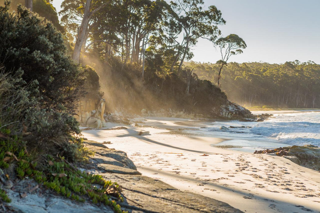 Shore Excursion - Bruny Island Day Tour - We Wander