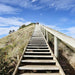 Shore Excursion - Bruny Island Day Tour - We Wander