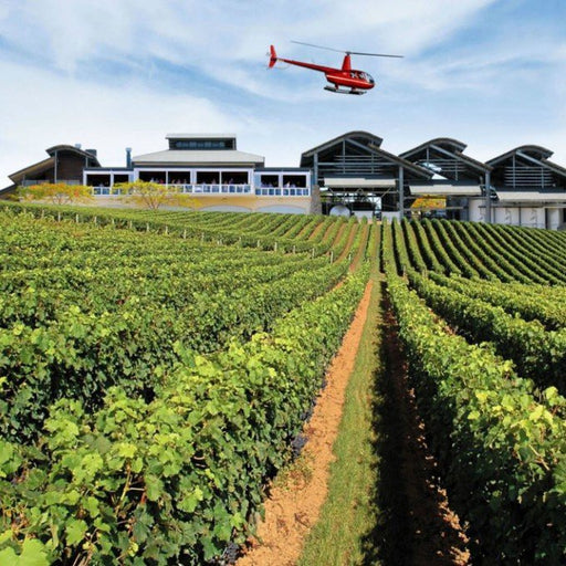 Sirromet Winery Helicopter Flight - Includes CBD & Mt Coot Tha - We Wander