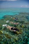 Snorkel With The Fish Wave Break Island - We Wander