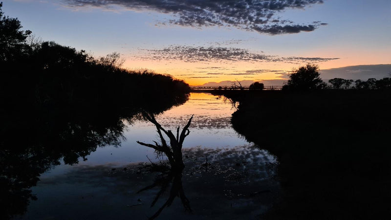 Sunrise Yoga Hike - Erskine - We Wander