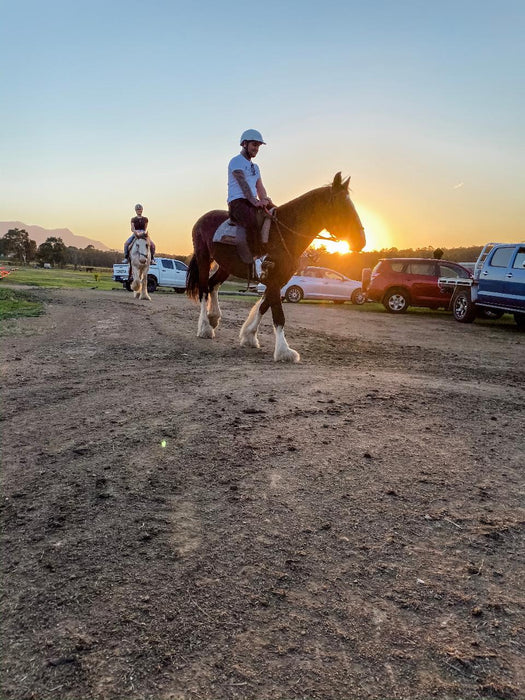 Sunset Group Ride 75 - Minute - We Wander