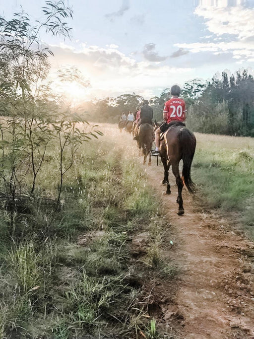 Sunset Group Ride 75 - Minute - We Wander