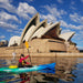 Sydney Harbour Highlights Kayaking Adventure - We Wander