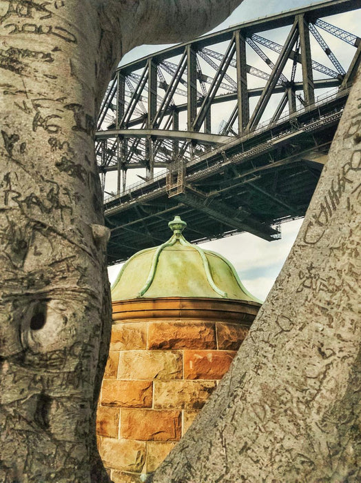 Sydney Smartphone Photography Course - We Wander