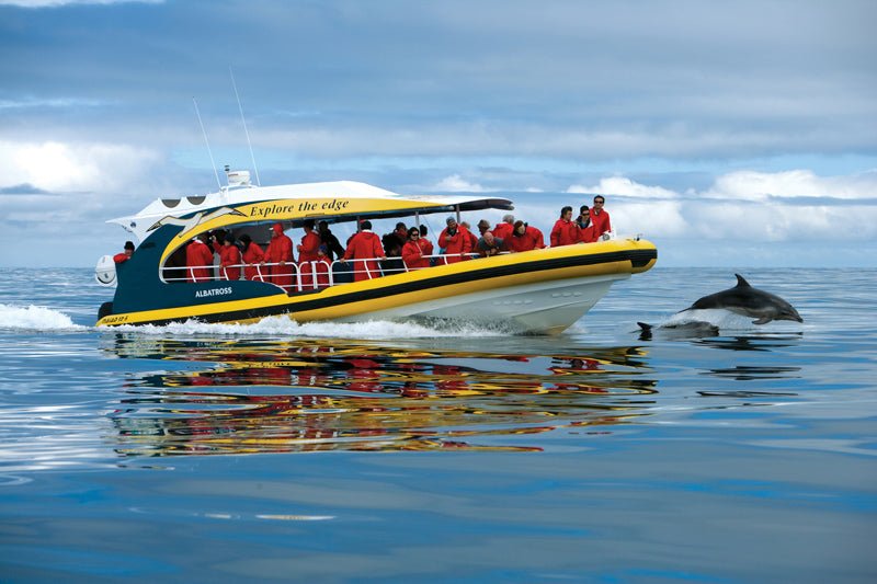 Tasman Island Cruises 3 Hour Cruise - We Wander