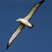 Tasman Island Cruises 3 Hour Cruise - We Wander